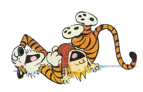 calvin-and-hobbes-laugh.jpg