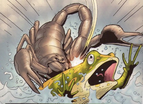 scorpion_and_the_frog_story.jpg