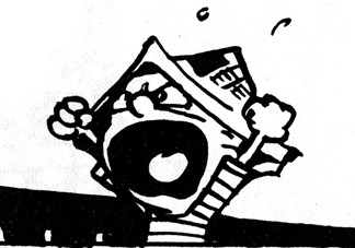 calvin_ditador.jpg calvin_ditador.jpg