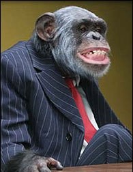 bossmonkey.jpg